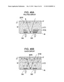 ELECTROPHORETIC DISPLAY DEVICE AND ELECTRONIC APPARATUS diagram and image