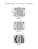 METHOD FOR DETECTING DEFECT IN MATERIAL AND SYSTEM FOR THE METHOD diagram and image