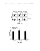 Methods and compositions for inhibition of Treg cells diagram and image