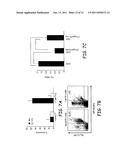 Methods and compositions for inhibition of Treg cells diagram and image