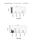 TUMOR SUPPRESSION USING PLACENTAL STEM CELLS diagram and image