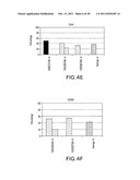 TUMOR SUPPRESSION USING PLACENTAL STEM CELLS diagram and image