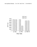 TUMOR SUPPRESSION USING PLACENTAL STEM CELLS diagram and image