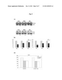 USE OF MICRORNA SIGNATURES FOR ASSESSING RISK LEVELS OF NEUROBLASTOMA     PATIENTS diagram and image