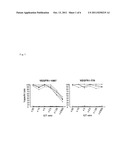 EPITOPE PEPTIDES DERIVED FROM VASCULAR ENDOTHELIAL GROWTH FACTOR RECEPTOR     1 AND VACCINES CONTAINING THESE PEPTIDES diagram and image