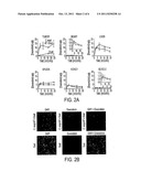 TUMOR-SPECIFIC DELIVERY OF THERAPEUTIC AGENTS VIA LIPOSOMASE diagram and image