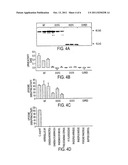 TUMOR-SPECIFIC DELIVERY OF THERAPEUTIC AGENTS VIA LIPOSOMASE diagram and image