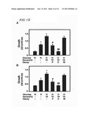 CIRCULAR DUMBBELL DECOY OLIGODEOXYNUCLEOTIDES (CDODN) CONTAINING DNA     BINDINGS SITES OF TRANSCRIPTION diagram and image