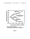 USE OF DIINDOLYLMETHANE-RELATED INDOLES FOR THE TREATMENT AND PREVENTION     OF RESPIRATORY SYNCYTIAL VIRUS ASSOCIATED CONDITIONS diagram and image