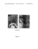 MICRONIZED WOOD PRESERVATIVE FORMULATIONS IN ORGANIC CARRIERS diagram and image