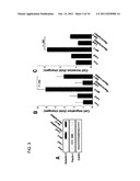 Method for Screening Cancer Therapeutic Agent Using Galectin-3,     GSK-3Betta, and Fascin-1 diagram and image