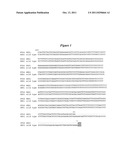 YEAST HAVING IMPROVED ETHANOL YIELD diagram and image