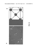 Methods and Compositions for High-Resolution Micropatterning for Cell     Culture diagram and image
