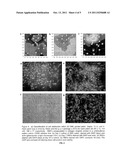 Three Dimensional Tissue Generation diagram and image