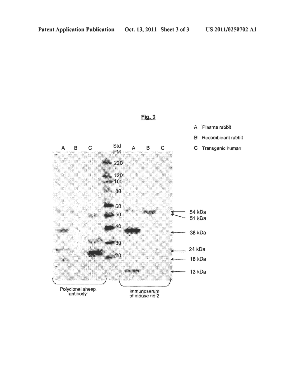 ISOLATED PEPTIDES OF RABBIT FACTOR VII - diagram, schematic, and image 04