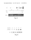 IL1RL-1 AS A CARDIOVASCULAR DISEASE MARKER AND THERAPEUTIC TARGET diagram and image