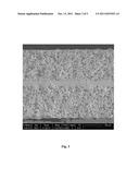 SOLVENT-BASED INFILTRATION OF POROUS STRUCTURES diagram and image
