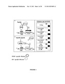 IN VITRO METHOD TO DETERMINE WHETHER A DRUG CANDIDATE ACTIVE AGAINST A     TARGET PROTEIN IS ACTIVE AGAINST A VARIANT OF SAID PROTEIN diagram and image