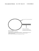  LARIAT APTAMER: APTAMER CANDIDATE EXCLUSION BY NUCLEASE DIGESTION diagram and image