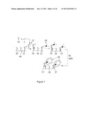 Use of Photopolymerization for Amplification and Detection of a Molecular     Recognition Event diagram and image