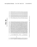 MARA FAMILY HELIX-TURN-HELIX DOMAINS AND THEIR METHODS OF USE diagram and image