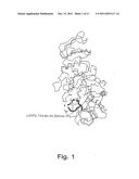 ALPHA-AMYLASE MUTANTS diagram and image