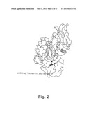 ALPHA-AMYLASE MUTANTS diagram and image