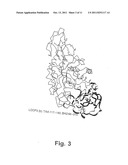 ALPHA-AMYLASE MUTANTS diagram and image