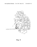 ALPHA-AMYLASE MUTANTS diagram and image