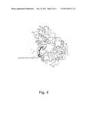 ALPHA-AMYLASE MUTANTS diagram and image