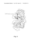 ALPHA-AMYLASE MUTANTS diagram and image