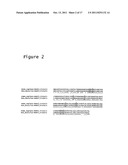 TREATMENT WITH A PHARMACEUTICAL COMPOSITION COMPRISING MANF2 NUCLEIC ACID diagram and image