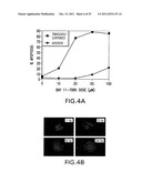 INHIBITORS OF PERITONEAL SEEDING OF CANCER CELLS diagram and image