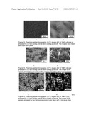 FAST RECOVERY OF THIXOTROPY BY ORGANOGELS WITH LOW MOLECULAR WEIGHT     GELATORS diagram and image