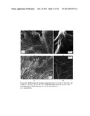 FAST RECOVERY OF THIXOTROPY BY ORGANOGELS WITH LOW MOLECULAR WEIGHT     GELATORS diagram and image