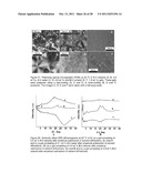 FAST RECOVERY OF THIXOTROPY BY ORGANOGELS WITH LOW MOLECULAR WEIGHT     GELATORS diagram and image
