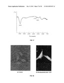 TRANSFECTION WITH MAGNETIC NANOPARTICLES AND ULTRASOUND diagram and image