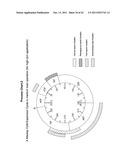 Mackay cold-expansion engine system diagram and image