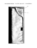 Automotive Cleaning System diagram and image