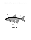 COATING FOR A DECOY OR FISHING LURE EXHIBITING REALISTIC SPECTRAL     REFLECTANCE diagram and image