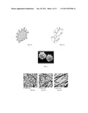 Polymer Composition diagram and image