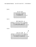 LIGHT-EMITTING DEVICE diagram and image