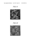 III-NITRIDE SEMICONDUCTOR GROWTH SUBSTRATE, III-NITRIDE SEMICONDUCTOR     EPITAXIAL SUBSTRATE, III-NITRIDE SEMICONDUCTOR ELEMENT, III-NITRIDE     SEMICONDUCTOR FREESTANDING SUBSTRATE, AND METHOD FOR FABRICATING THESE diagram and image