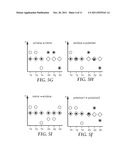 INTERNALLY PATTERNED MULTILAYER OPTICAL FILMS USING SPATIALLY SELECTIVE     BIREFRINGENCE REDUCTION diagram and image