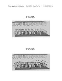 CHARGE STORAGE DEVICE ARCHITECTURE FOR INCREASING ENERGY AND POWER DENSITY diagram and image