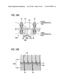 ROLLING ELEMENT ACCOMMODATING BELT FOR LINEAR GUIDE APPARATUS, LINEAR     GUIDE APPARATUS AND METALLIC MOLD FOR MANUFACTURING ROLLING ELEMENT     ACCOMMODATING BELT diagram and image