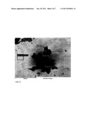 FLUID FILTRATION FOR SUBSTRATE PROCESSING CHAMBER diagram and image