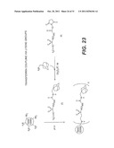 COMPLEXING AGENTS FOR COMPOSITIONS CONTAINING INCLUSION COMPLEXES diagram and image