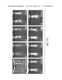 AMNIOTIC FLUID CELLS AND USES THEREOF diagram and image