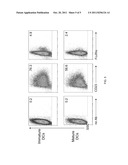 METHODS FOR IMPROVING THE BIOACTIVITY OF THERAPEUTIC IgE ANTIBODIES FOR     THE TREATMENT OF DISEASE diagram and image